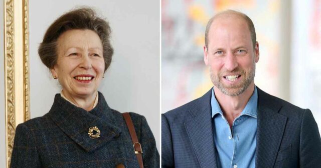 Dentro do relacionamento da princesa Anne e Prince William ao longo dos anos

