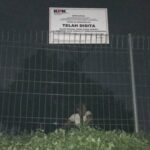 Depois que o presidente foi examinado, Pt Pintu em qualquer lugar admitiu que estava pronto para ajudar o KPK a investigar a corrupção no ASDP