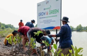 Dia Mundial de Mangresso Comemorativo, BRI enfatizou o compromisso de salvar o meio ambiente através da melhoria dos ecossistemas costeiros Dia Mundial de Mangresso Comemorativo, BRI enfatizou o compromisso de salvar o meio ambiente através da melhoria dos ecossistemas costeiros
