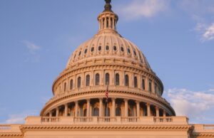 Doge tem uma ferramenta de IA para ajudar a decidir quais regulamentos federais você deve remover Doge tem uma ferramenta de IA para ajudar a decidir quais regulamentos federais você deve remover