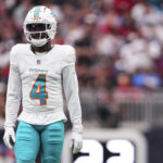Dolphins perde a estrela de Kadou Kohou Angelback para a temporada