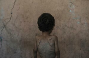 Douthat: A coisa de Israel é justa. Mas sua tática cruzou a linha. Douthat: A coisa de Israel é justa. Mas sua tática cruzou a linha.