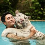 É mais difícil cuidar de gatos do que tigres? Esta é a palavra Alshad Ahmad