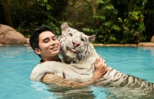 É mais difícil cuidar de gatos do que tigres? Esta é a palavra Alshad Ahmad É mais difícil cuidar de gatos do que tigres? Esta é a palavra Alshad Ahmad