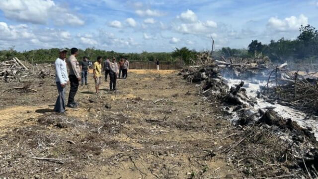 Ele deliberadamente queimou as terras de borracha para serem usadas como plantação de dendezeiros, presa pela polícia

