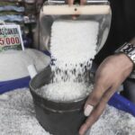 Embora a ação seja abundante, o preço do arroz por atacado para o comércio de varejo realmente aumenta em junho de 2025