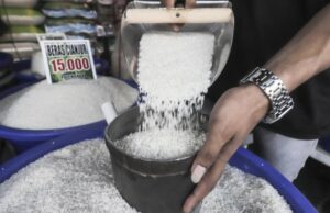 Embora a ação seja abundante, o preço do arroz por atacado para o comércio de varejo realmente aumenta em junho de 2025 Embora a ação seja abundante, o preço do arroz por atacado para o comércio de varejo realmente aumenta em junho de 2025