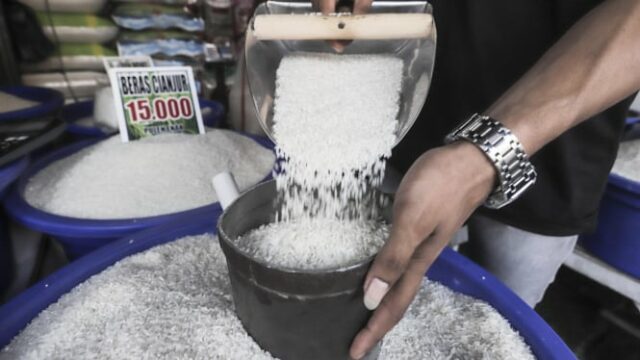 Embora a ação seja abundante, o preço do arroz por atacado para o comércio de varejo realmente aumenta em junho de 2025

