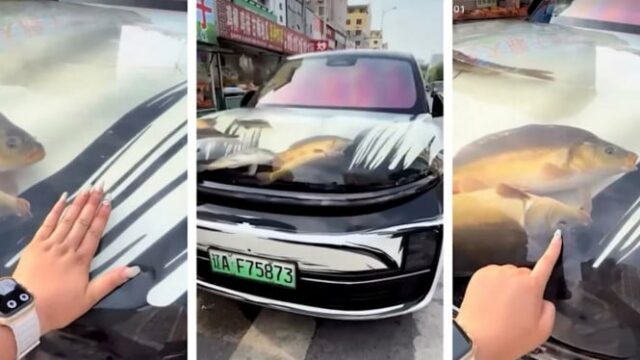 Este carro elétrico faz um choque, a polícia para intervir

