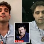 Filho de "El Chapo" para se declarar culpado no caso americano de tráfico de drogas