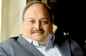 Fitul mehrhrhit tem um traje construtivo Fitul mehrhrhit tem um traje construtivo