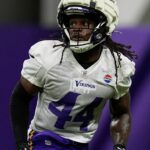Fontes: Metellus Clean de Vikings