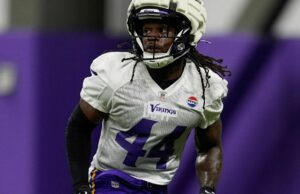 Fontes: Metellus Clean de Vikings Fontes: Metellus Clean de Vikings