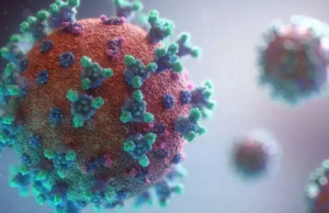 Gravação registrada em 10 de julho de 4 de julho, não há danos Gravação registrada em 10 de julho de 4 de julho, não há danos