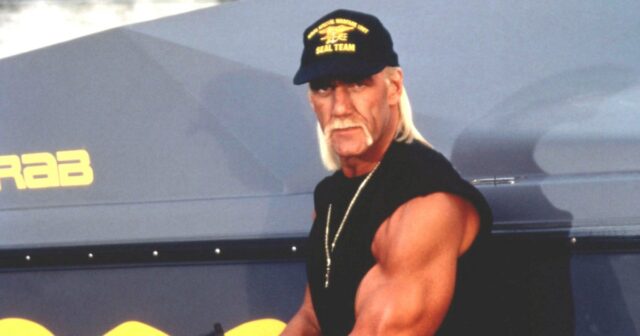 Hulk Hogan ao longo dos anos, desde a luta até sua carreira cinematográfica