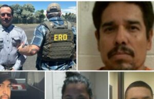 ICE NABS 243 estrangeiros ilegais no trabalho de 9 dias de Denver ICE NABS 243 estrangeiros ilegais no trabalho de 9 dias de Denver