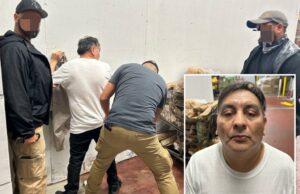 Imigrante ilegal “monstro” acusado de decapitação de uma mulher pega por gelo depois que o juiz o libertou três meses atrás Imigrante ilegal "monstro" acusado de decapitação de uma mulher pega por gelo depois que o juiz o libertou três meses atrás