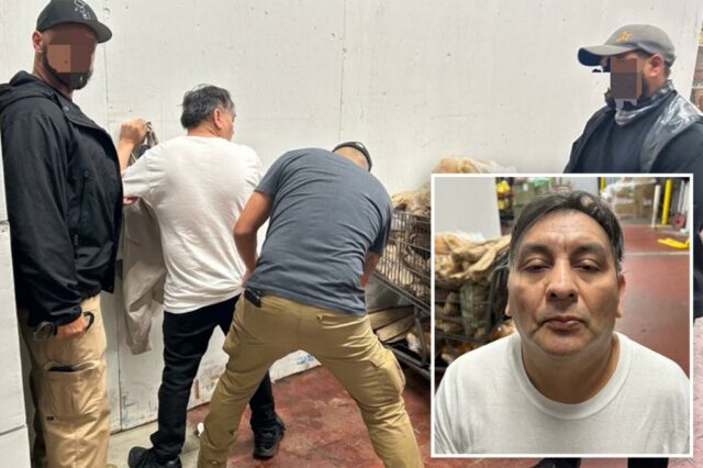 Imigrante ilegal "monstro" acusado de decapitação de uma mulher pega por gelo depois que o juiz o libertou três meses atrás

