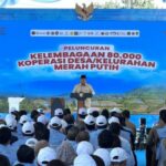 Inaugurado pelo Presidente Prabowo, o fertilizante indonésio está otimista de que a cooperativa do vermelho e o Blanca é uma motocicleta para realizar a auto -suficiência alimentar