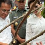 Incentiva a produção nacional de cacau, a Comissão IV destacou o interesse dos agricultores para a transmissão subsequente