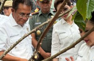 Incentiva a produção nacional de cacau, a Comissão IV destacou o interesse dos agricultores para a transmissão subsequente Incentiva a produção nacional de cacau, a Comissão IV destacou o interesse dos agricultores para a transmissão subsequente