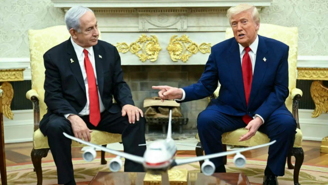 Israel City Netstania

