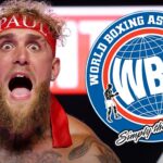 Jake Paul World Boxing Association Getty 1