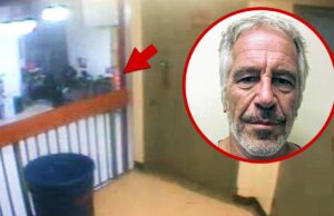 Jeffi Epstein Jeffi Awe Video Mystery Orange Blobes On the Stairs 073125_EPSTEIN_BLOB_BAL