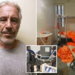 Jeffrey Epstein não tinha uma "lista de clientes", e o suicídio foi cometido, o Departamento de Justiça e o FBI revelam nas descobertas que as teorias da conspiração estão sobrecarregadas: Relatório