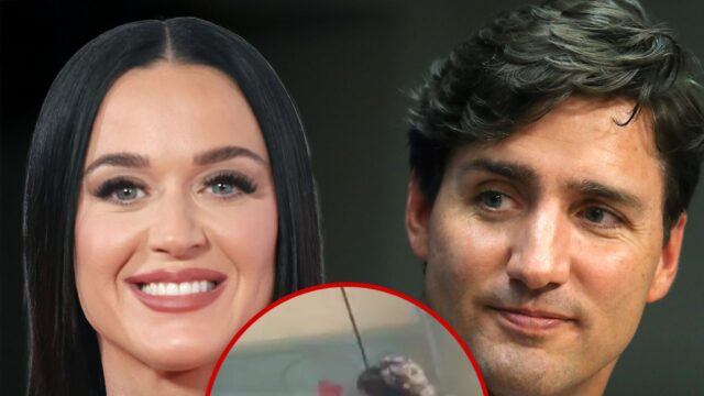 Katie Perry Justin Trump Coaty TMZ Composition