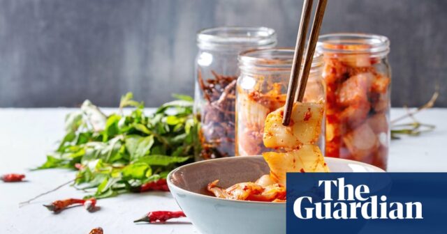 Kimchi picante, gelo ruim e bons ovos: meus testes para o filtro de alimentos mudaram a maneira como eu guardo

