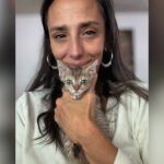 Lágrimas como gatinho pequeno permanece do lado da mulher durante seus últimos momentos