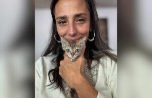 Lágrimas como gatinho pequeno permanece do lado da mulher durante seus últimos momentos Lágrimas como gatinho pequeno permanece do lado da mulher durante seus últimos momentos