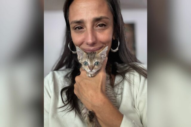 Lágrimas como gatinho pequeno permanece do lado da mulher durante seus últimos momentos

