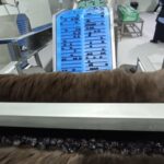 Leve uma olhada na produção da fazenda de castelos de Ajwa em Medina: sofisticada e orgânica