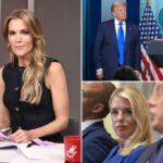 MEGYN KELLY, MAGA STARS chama a cabeça de Pam Bondi quando Epstein arquivos Firestorm se intensifica