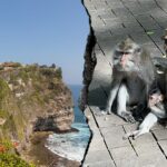 Macacos que lidera uma farsa em um templo sagrado, dizem turistas frustrados após o roubo do telefone