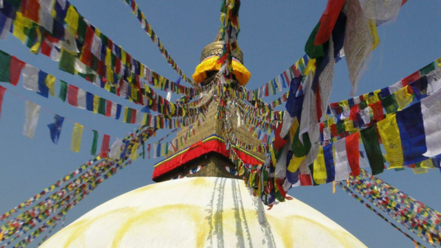 Mais de 300 japoneses do Buddki no condado de Tibetano dizem CTA


