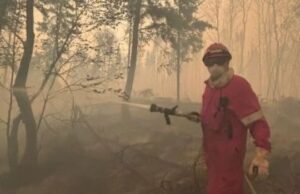 Mais pesquisas necessárias sobre a toxicidade da fumaça do incêndio, os cientistas dizem quando alertam sobre a poluição ‘bomba -relógio’ Um homem que está em um campo