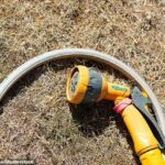 Thames Water anunciou que uma proibição de Hosepipe entrará em vigor da próxima terça -feira para clientes em várias áreas