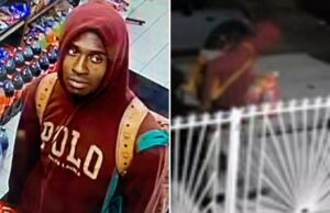 Maniac pego na configuração de vídeo pit bull na rua NYC é preso: cópias 29 -Year -old Isaiah K. Gurley foi preso por suposto incêndio criminoso de pit bull na Southern Street de Ozone Park, informou a polícia.