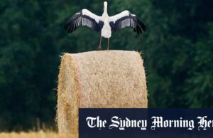 Mundo em fotos desta semana, 24 de julho de 2025 Mundo em fotos desta semana, 24 de julho de 2025