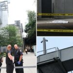 Museu, 34 anos, pula até a morte em Whitney