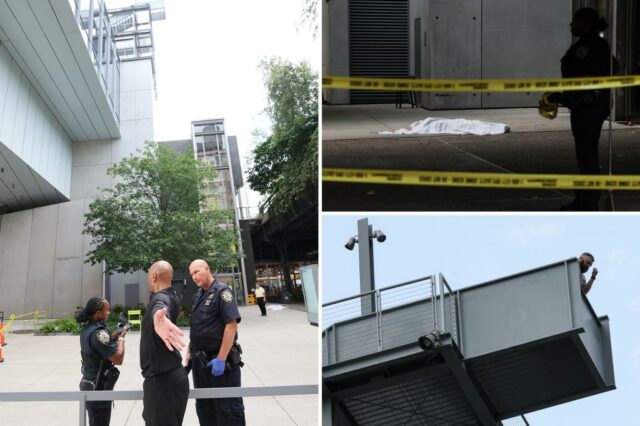 Museu, 34 anos, pula até a morte em Whitney

