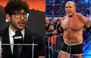 “Nem pense sobre isso”, “Tony não” – Major Star reage a Goldberg depois de enviar um convite aberto para outra partida de aposentadoria Os fãs reagiram a Goldberg, que desafiou o MJF (crédito: resposta dos fãs em X)