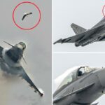 No momento, a gaivota invade um lutador de US $ 85 milhões no cockpit no Airshow