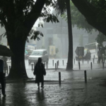 Normal da chuva na Índia na segunda metade da temporada de Monson: IMD