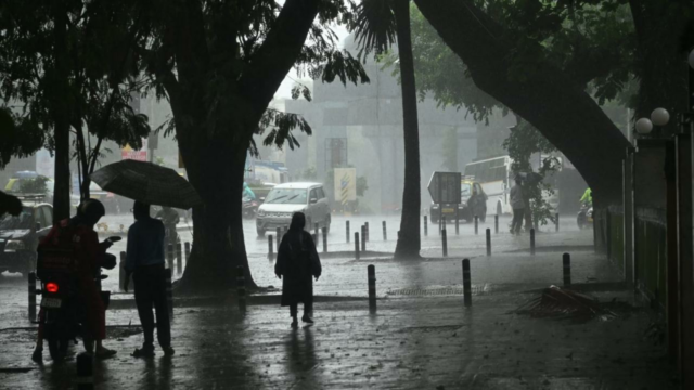 Normal da chuva na Índia na segunda metade da temporada de Monson: IMD

