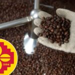 A mão enluvada segura grãos de café assados sobre um grande recipiente de feijão.