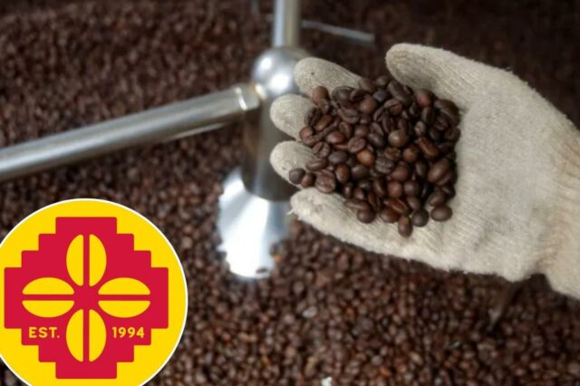 A mão enluvada segura grãos de café assados sobre um grande recipiente de feijão.
